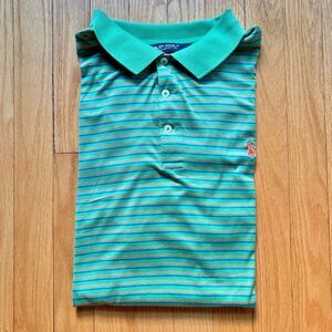 Polo Ralph Lauren Golf Men’s Short Sleeve Polo Shirt Pima Cotton XL Green Stripe